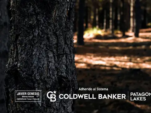 Terreno en Venta 89  mts Frente