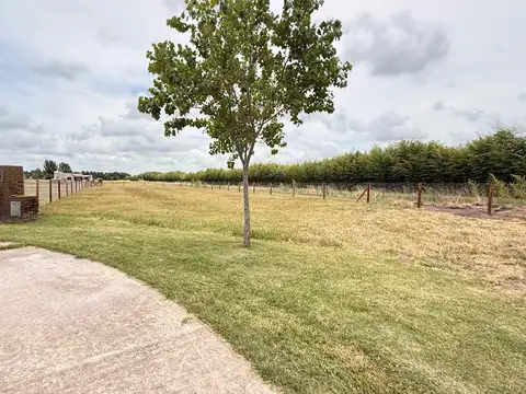 Terreno en Venta de 1332,0 m2