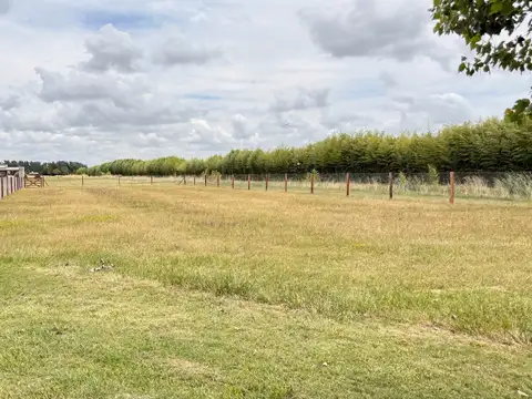 ¡Sumérgete en el apasionante mundo de La Federala, donde tus sueños cobrarán vida como nunca antes!