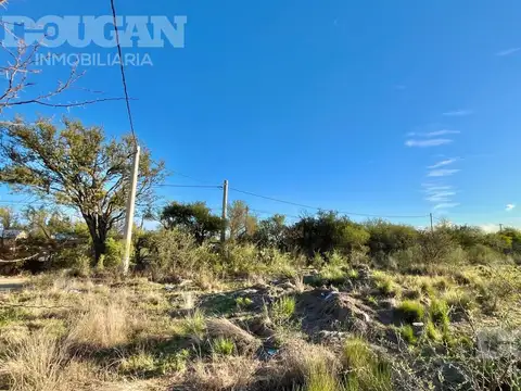 Terreno en Venta 52  mts Fondo