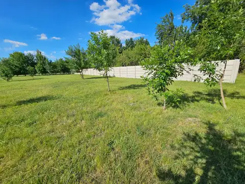 José Ingenieros al 6000