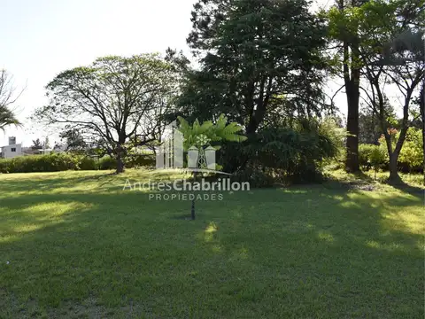 Antonio Castagnini Esquina Los Robles 100