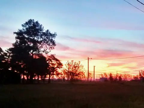 Quinta Cairo | Manzana i | Lote 100