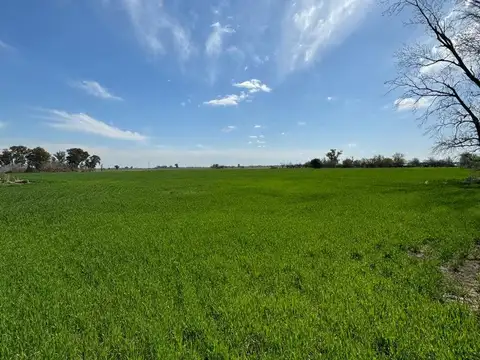 Campo/ Chacra 19has Torres Lujan c Renta