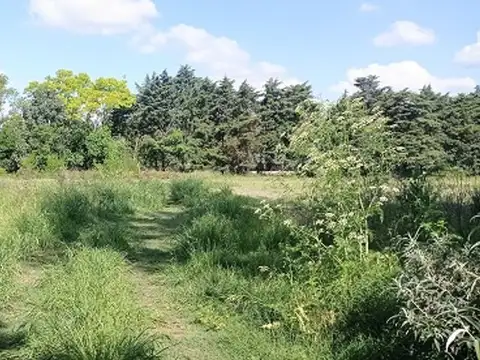 Terreno en Venta de 25000,0 m2