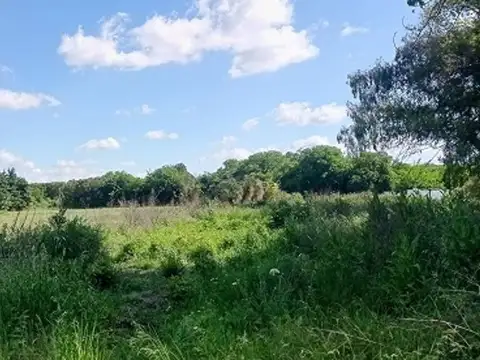 Terreno en Venta de 25000,0 m2