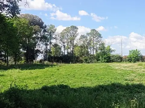 Terreno en Venta en Cuartel V, USD 250.000