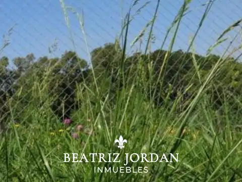 TERRENO EN VENTA, BARRIO ABIERTO LOS PARAISOS 2, LOS CARDALES