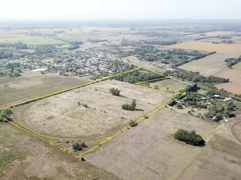 Haras en Torres con arboleda y mejoras