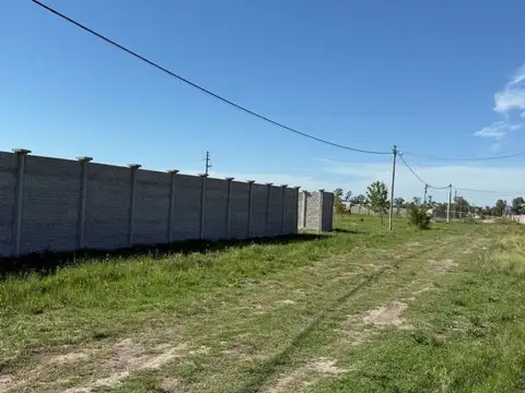 Novion y 20 de junio