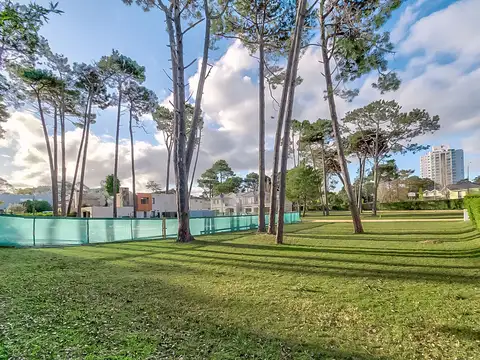 Boulevard Park Punta del Este