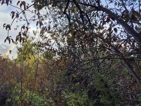 Mallin Ahogado, el Bolson