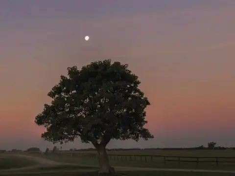 Terreno en Venta en Cañuelas, USD 80.000