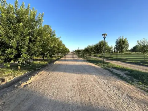 Terreno en Venta de 1000,0 m2