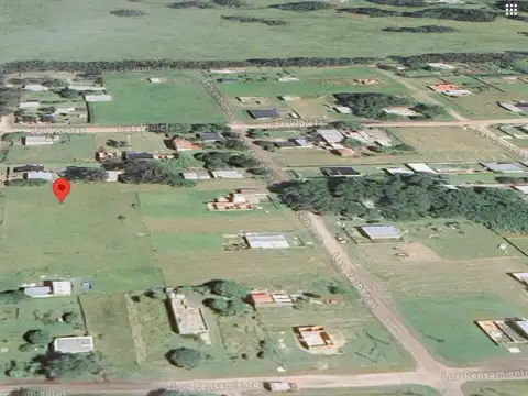 Tomás Espora e/ Las Violetas y Los Pensamientos