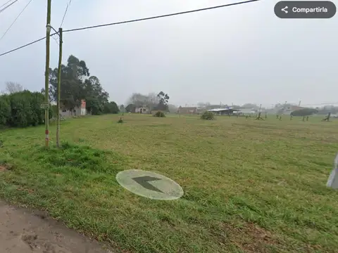 Tomás Espora e/ Las Violetas y Los Pensamientos