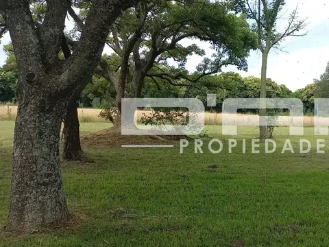 Gran Oportunidad! Casa/chacra De 4 Ambientes Sobre Lote De 2,16has - Ruta Prov. 41 Km 252,5 Mercedes