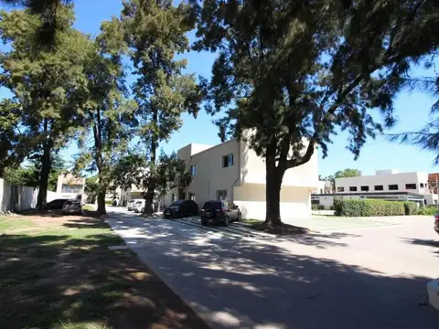 Maipu 60- Canning-bambu Relax