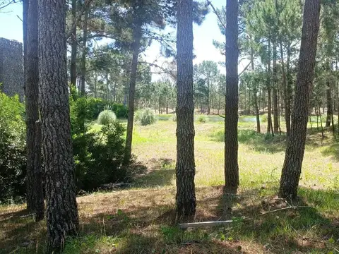 Villarobles Ruta 11 Km 382 100