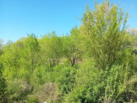 Terreno en Venta de 576,0 m2