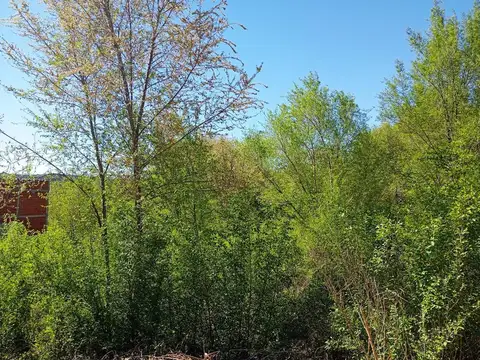 VENTA DE TERRENO La Falda