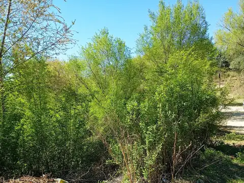 VENTA DE TERRENO La Falda