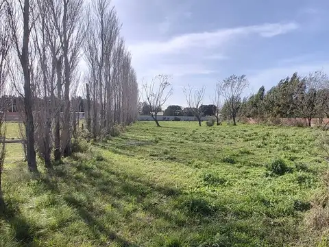 VENTA AMPLIO LOTE 1285m2