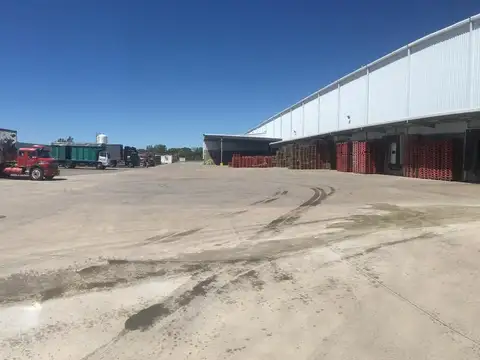 Torcuato Di Tella al 1700