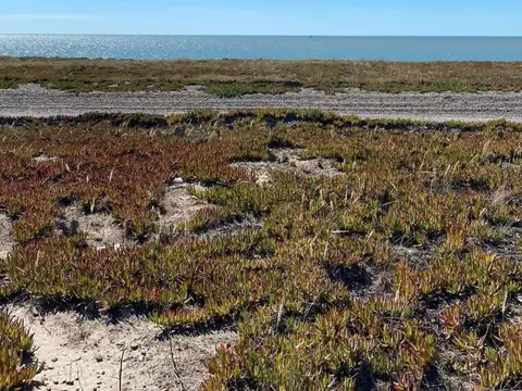 Terreno en Venta de 1649,0 m2