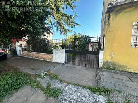 Wolf Scholnid al 200