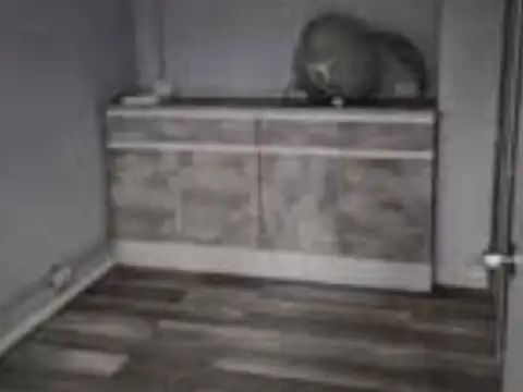 Alquiler de Nave Industrial en Canning