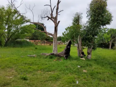 Lote - Venta - Argentina, Concordia - ANTONIO DE LUQUE 400