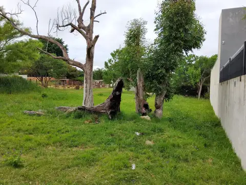 Terreno en Venta de 1637,0 m2