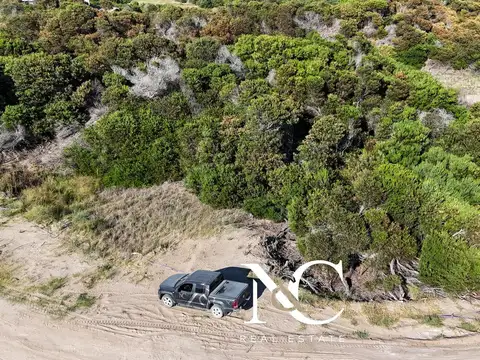 North Beach Barrio San Diego lote al 100