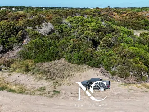 North Beach Barrio San Diego lote al 100