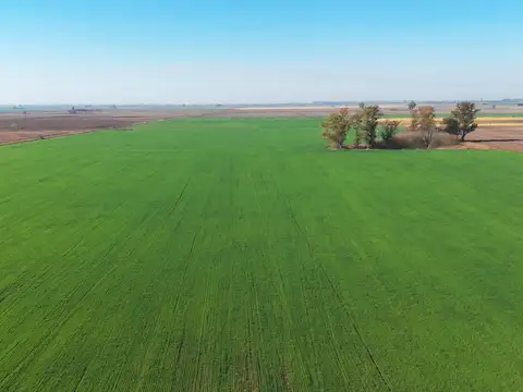 Campo en venta Salto Grande Sant Fe