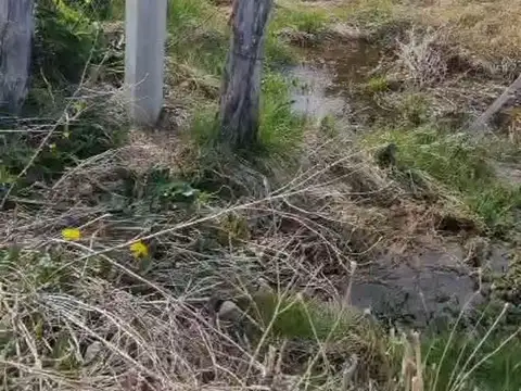 Terreno en Venta de 891,0 m2