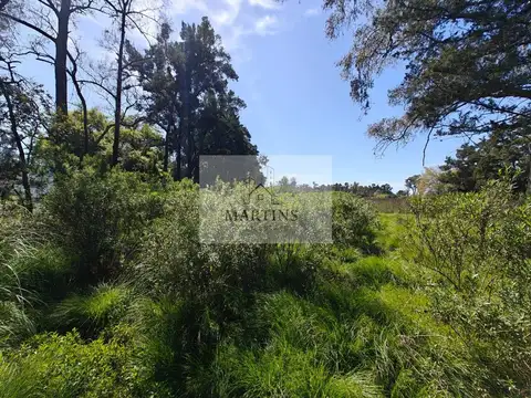Terreno en Venta en La Lonja, USD 900.000