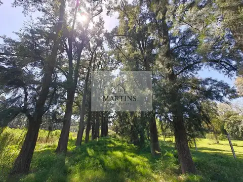 Terreno en Venta de 8778,0 m2