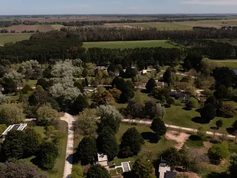 Terreno en Venta 41  mts Fondo