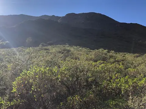 Terreno en Venta, FOS 20