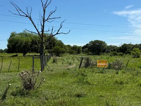 Campo de 20 Hectareas con laguna y acceso al Rio Negro!