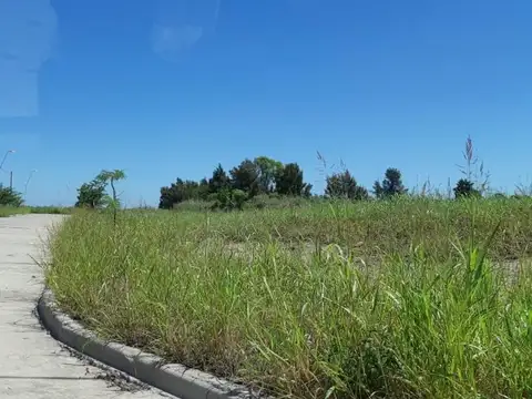 Terreno en Venta de 300,0 m2