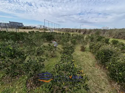 Terreno en Venta 15  mts Frente