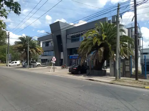 Dr L Maria Drago 2000