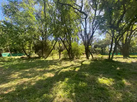 Capitán De Marina T. Craig 600