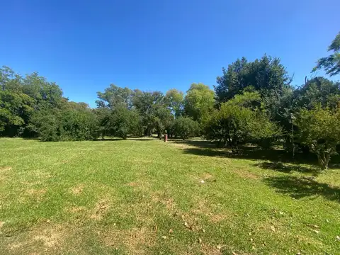 Capitán De Marina T. Craig 600