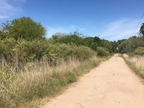 Terreno en Venta en Abasto, $ 0