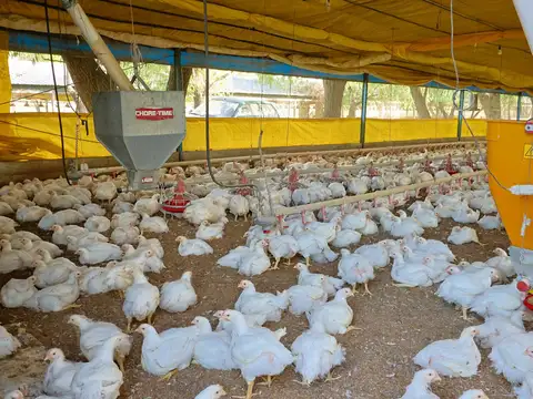 Ruta 7 General Aparicio Saravia