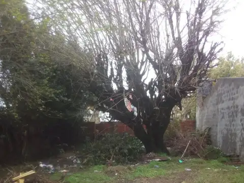 Casa en Venta de 1 dormitorio